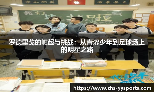 易游yy体育