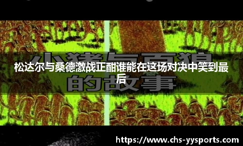 松达尔与桑德激战正酣谁能在这场对决中笑到最后